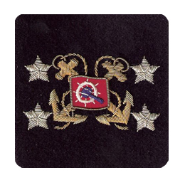 Sleeve Emblem, International Appointed Officer 
