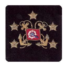 Sleeve Emblem, International President Elect 